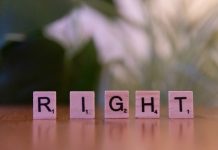 Understanding Copyright: Covers, Samples, and the Costs of Clearance